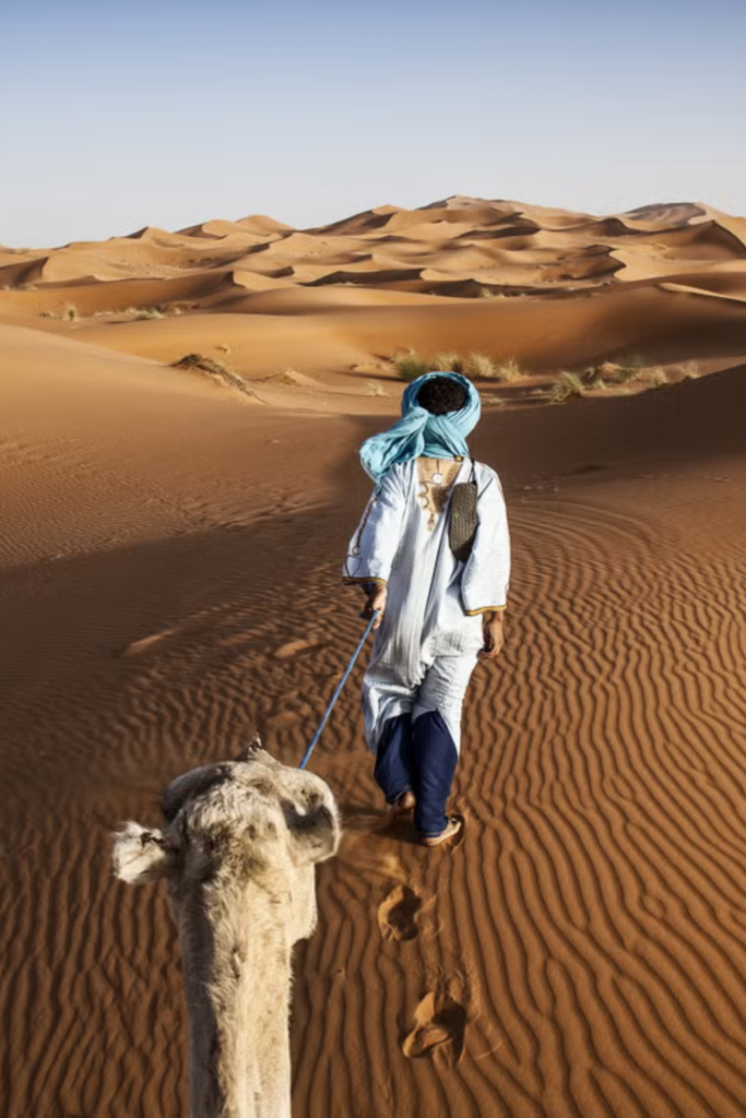 excursions et visites au maroc